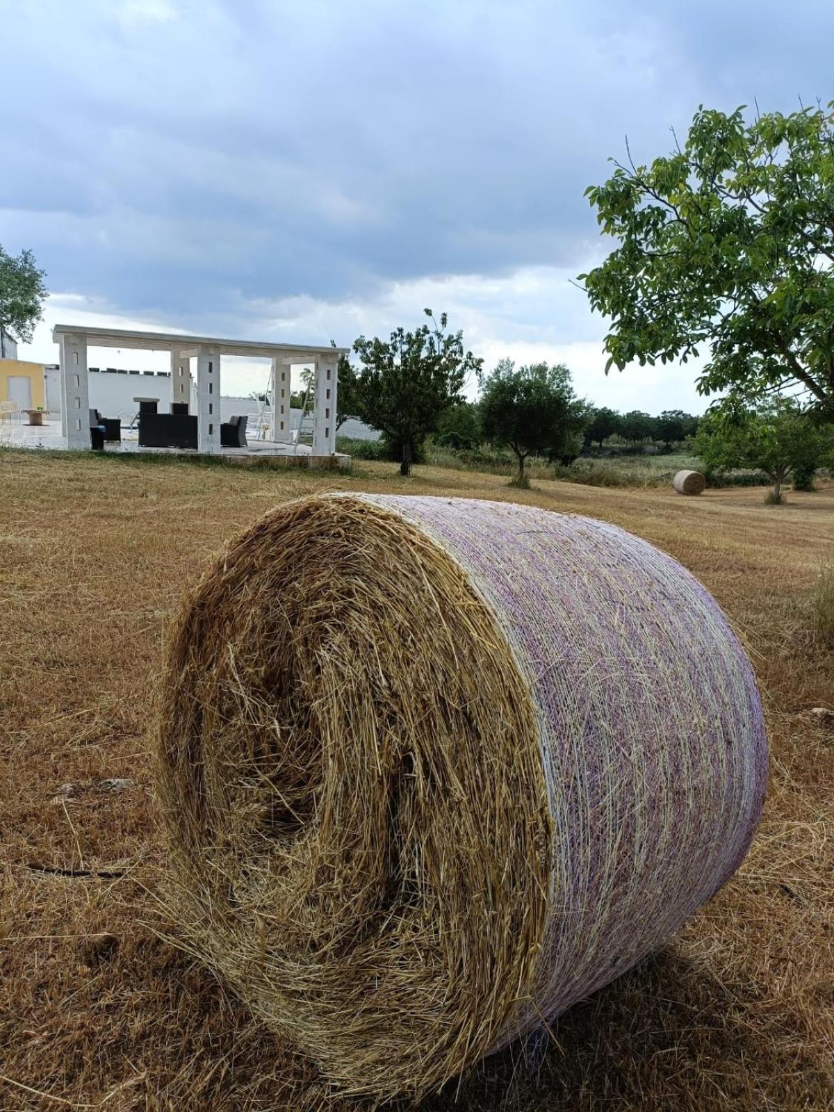 Casa Loredana Putignano Esterno foto